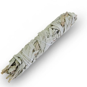 7&quot; California White Sage smudge stick