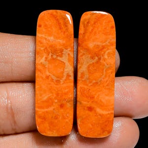 Paire de pierres précieuses cabochons de forme rayonnante turquoise orange naturelle pour la fabrication de boucles d'oreilles poids 36 carats taille 38X11X3mm