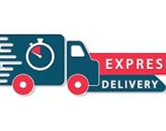 Express shipping Delivery in 5-8 working days