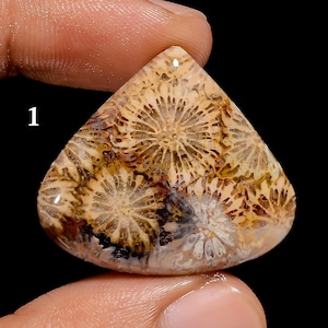Natuurlijke fossiele koraal cabochon losse edelsteen mooie designer fossiele koraalsteen (fossiel koraal als afbeelding)