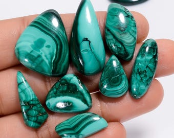 Malachite Cabochons: Mix Shape Loose Gemstones, 10 Pcs Lot
