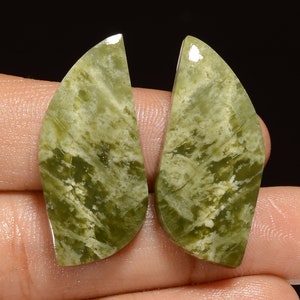 Par de serpentina natural cabochão, par de pedras preciosas serpentinas em forma extravagante par de pedra polida serpentina 32X13X3 mm Pedra serpentina de 34 quilates