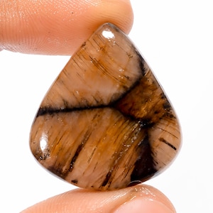 Pietra preziosa naturale di Chiastolite Chiastolite Cabochon Pietra di Chiastolite a forma di pera 29X26X5 mm Pietra di Chiastolite da 39 carati (come nell'immagine