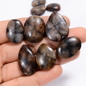 Natürliche Chiastolite Cabochon Lose Edelstein 10 Stück Lot für die Herstellung von Schmuck Gewicht 225 Karat Größe 18X14 25 x 17 mm (Stein als Bild)