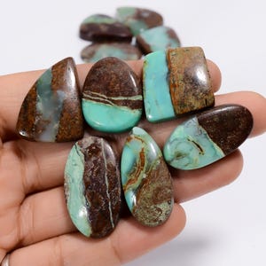 Natürliche Bio Chrysopras Mix Form Cabochon Edelstein 10 Stück Lot zur Herstellung von Schmuck Gewicht 192 Karat Größe 18X18 28 x 13 mm (Stein als Bild