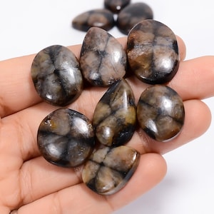 Natürliche Chiastolite Cabochon Lose Edelstein 10 Stück Lot für die Herstellung von Schmuck Gewicht 245 Karat Größe 18X13 24 x 18 mm (Stein als Bild)