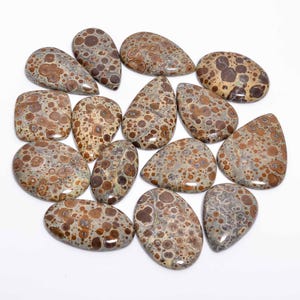 Natuurlijke asteroïde jaspis cabochon / groothandel veel asteroïde jaspis / mix vorm grootte asteroïde jaspis edelsteen / jaspis geboortesteen / cadeau voor haar