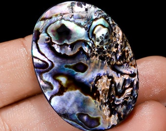 Natural Abalone Shell Gemstone Big Size Abalone Shell Stone Uneven Shape Abalone Shell 33X23X7 mm Size 60 Carat Abalone Shell ( as picture