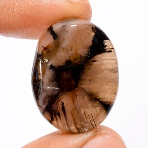 Natural Chiastolite Pedra Preciosa Chiastolite Cabochão Forma Fantasia Chiastolite Pedra 29X22X5mm 40 Quilates Pedra de Forma Oval (Chiastolite Como Imagem