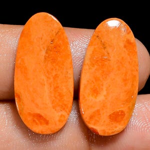 Paire de pierres précieuses cabochon de forme ovale turquoise orange naturel pour la fabrication de boucles d'oreilles poids 15 carats taille 22X11X3mm