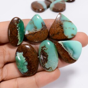 Natürliche Bio Chrysopras Mix Form Cabochon Edelstein 10 Stück Lot für die Herstellung von Schmuck Gewicht 217 Karat Größe 23X19 27 x 18 mm (Stein als Bild