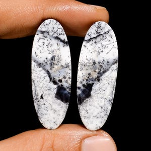 Natürliche Dendrit Opal Oval Form Cabochon Lose Edelstein-Paar für die Herstellung von Ohrringen 42 Ct. 38X14X4 mm (Paar wie Bild