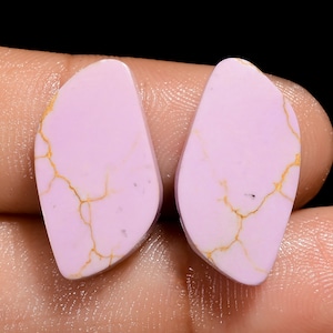 Paire de phosphosidérites naturelles cabochons de forme fantaisie Pierres précieuses de phosphosidérite rose taille 19 x 10 x 3 mm pour la fabrication de boucles d'oreilles (paire comme sur l'image)