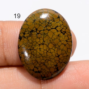 Pedra preciosa natural de turquesa tibetana Cabochão de turquesa genuína Forma extravagante Pedras de turquesa Design Pedra turquesa (turquesas como imagem
