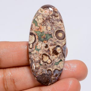 Natürlicher Krokodil Jaspis Edelstein Oval Form Cabochon Edelstein 58 Ct. 48X22X5 mm (Stein wie in Abbildung)