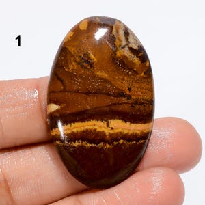 Pietra preziosa naturale di diaspro dell'Outback, cristallo di diaspro dell'Outback liscio e lucidato, cabochon dell'Outback