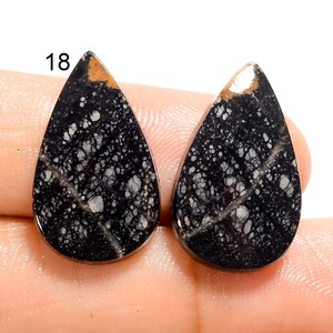 May include: Pair of black and white teardrop shaped cabochons with a speckled pattern. The cabochons are approximately 1 inch in length.