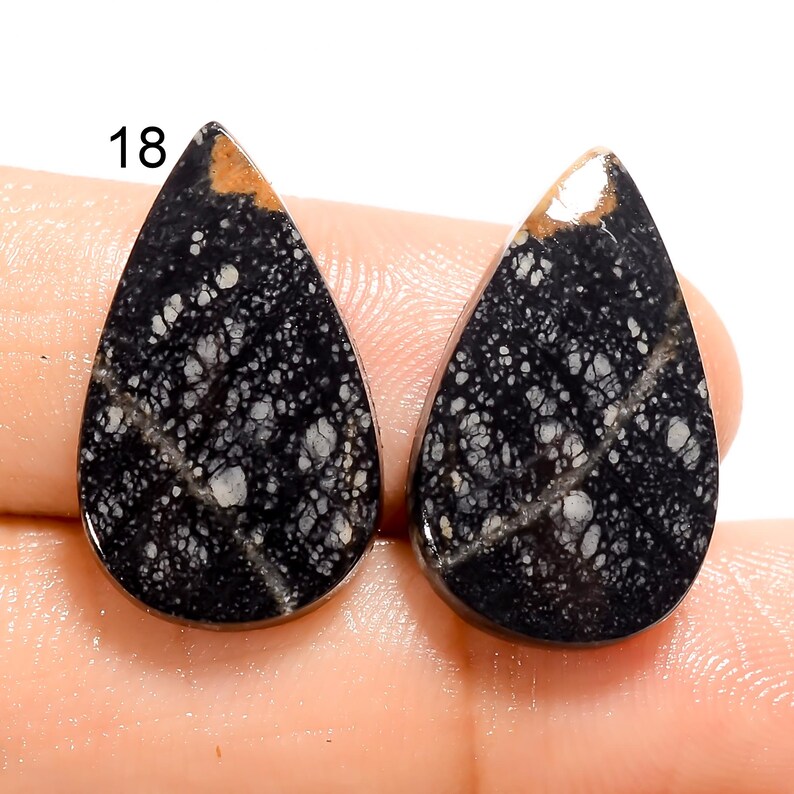 May include: Pair of black and white teardrop shaped cabochons with a speckled pattern. The cabochons are approximately 1 inch in length.