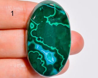 May include: An oval-shaped malachite gemstone featuring deep forest green and vibrant turquoise blue concentric banding patterns. The polished stone has a smooth, reflective surface with a distinct number 1 printed in the upper left corner.