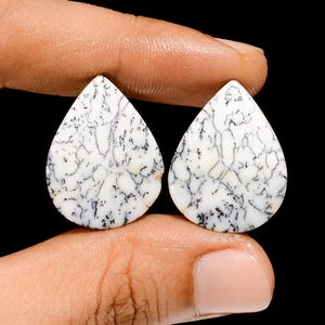 Natürliche Dendrit-Opal Birne Form Cabochon Lose Edelstein-Paar für die Herstellung von Ohrringen 20 Ct. 24X18X4 mm (Paar wie Bild