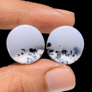 Opale dendrite naturelle cabochon ronde paire de dendrite opale pierre précieuse blanche paire pierre 16 x 16 x 3 mm taille 15 carats paire de dendrite (paire comme image