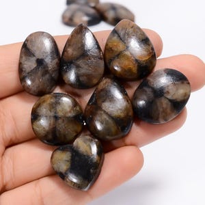 Natürliche Chiastolite Cabochon Lose Edelstein 10 Stück Lot für die Herstellung von Schmuck Gewicht 268 Karat Größe 18X18 25 x 14 mm (Stein als Bild)