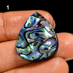 Natural Abalone Shell Gemstone Abalone Shell Stone Uneven Good Shape Abalone Shell Flat Back Abalone Shell (Abalone Shell as picture