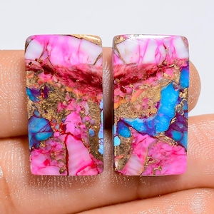 Paire de pierres précieuses naturelles cabochon de forme rayonnante turquoise d'huître épineuse pour la fabrication de boucles d'oreilles 28 carats. 24 x 12 x 3 mm (la paire comme sur la photo)