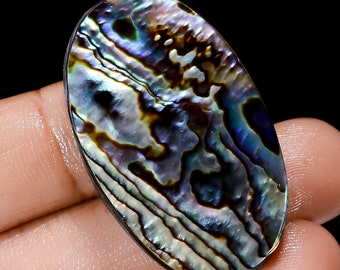 Natural Abalone Shell Gemstone Big Size Abalone Shell Stone Uneven Shape Abalone Shell 36X22X7 mm Size 65 Carat Abalone Shell ( as picture