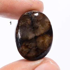 Pierre de chiastolite de bonne forme en cristal de chiastolite Pierre de chiastolite