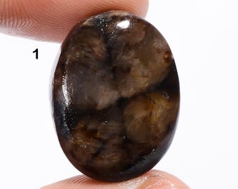 Chiastolite Gemstone Good Shape Chiastolite Crystal Chiastolite Stone