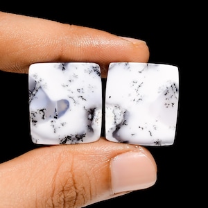 Paire de pierres précieuses en vrac en forme de cabochon de dendrite opale rayonnante pour la fabrication de boucles d'oreilles 44 Ct 22X19X5 mm (la paire comme sur l'image