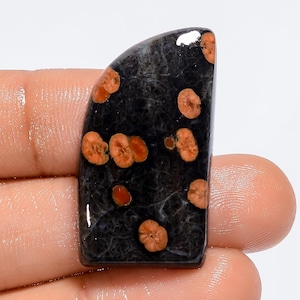 Natürlicher Erdnuss-Obsidian-ausgefallene Form Cabochon-loser Edelstein für die Herstellung von Schmuck 29 Ct. 32X17X4 mm (Stein wie Abbildung)