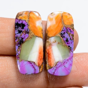 Natürliche Auster Türkis Strahlende Form Cabochon Lose Edelstein-Paar für Ohrringe Gewicht 22 Karat Größe 25X10X4mm