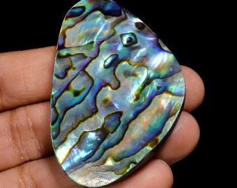 Natural Abalone Shell Gemstone Big Size Abalone Shell Stone uneven Shape Abalone Shell 51X34X9 mm Size 135 Carat Abalone Shell ( as picture