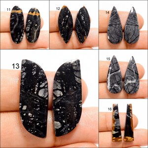May include: A set of 10 black and white gemstone cabochons, each with a unique pattern. The cabochons are in various shapes, including oval, teardrop, and half-moon.