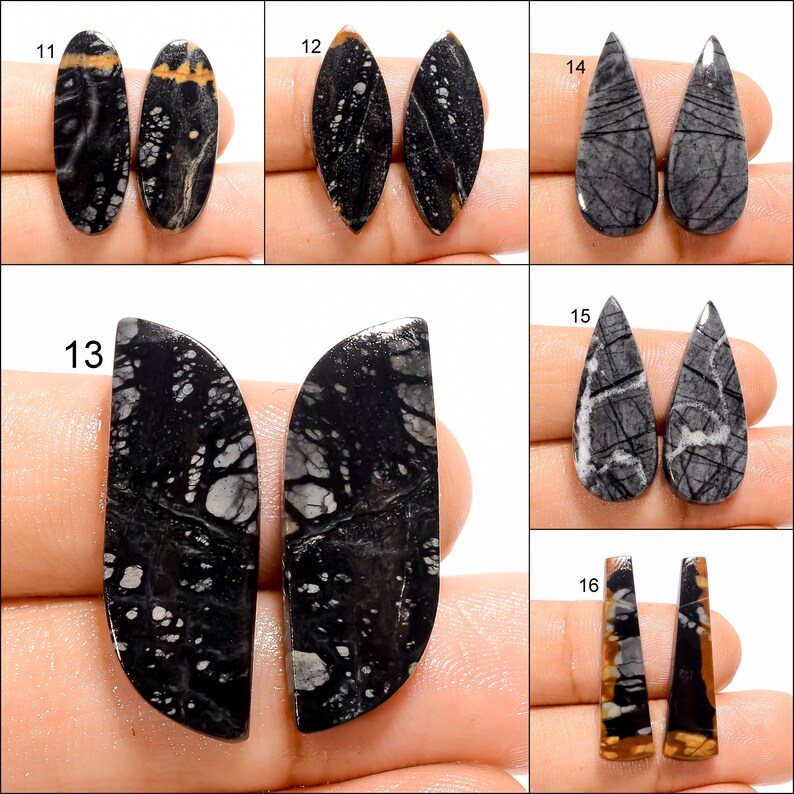 May include: A set of 10 black and white gemstone cabochons, each with a unique pattern. The cabochons are in various shapes, including oval, teardrop, and half-moon.