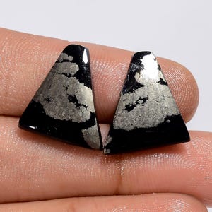 May include: Two triangular-shaped pyrite stones. The stones are black with silver-colored, textured patterns. The stones are cut with a flat bottom and a rounded top. The stones are displayed against a neutral background.