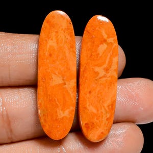 Paire de pierres précieuses cabochons de forme rayonnante turquoise orange naturelle pour la fabrication de boucles d'oreilles poids 29 carats taille 35X10X3mm