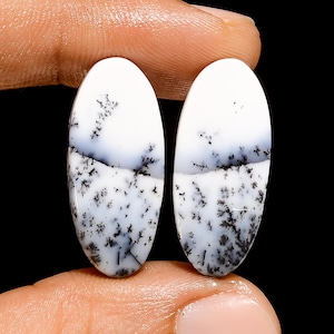 Natürliche Dendrit Opal Oval Form Cabochon Lose Edelstein-Paar für die Herstellung von Ohrringen 23 Ct. 25X11X4 mm (Paar wie Bild