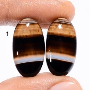 Natürliche schwarze Botswana Achat Cabochon, Botswana Achat Paar, Botswana Achat Kristall, Ohrringe machen