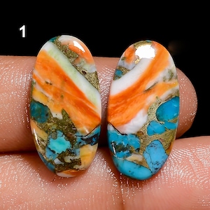 Paire de turquoises d'huîtres épineuses naturelles cabochon pour faire des boucles d'oreilles (Paire comme image)