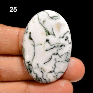 Cabujón de ágata de árbol natural, piedra preciosa suelta para hacer joyas