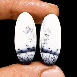 Paire de pierres précieuses en vrac cabochon de forme ovale de dendrite opale naturelle pour faire des boucles d'oreilles 30 Ct 26X11X6 mm (la paire comme sur l'image