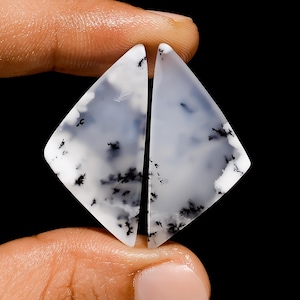 Paire de pierres précieuses en vrac cabochon de forme fantaisie opale dendrite naturelle pour boucles d'oreilles 29 carats. 34X16X4 mm (la paire comme sur l'image