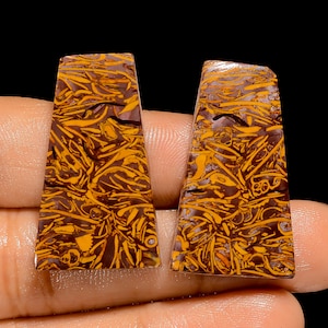 Natürliche Mariam Jaspis Paar Cabochon Lose Edelstein Paar Mariam Jaspis Ohrringe Paar 32X18X4 mm 57 Karat Fancy Form Mariam Jaspis Paar