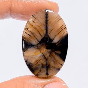 Natürliche Chiastolite Oval Form Cabochon Lose Edelstein für die Herstellung von Schmuck 39 Ct. 32X22X4 mm (Stein wie Abbildung)