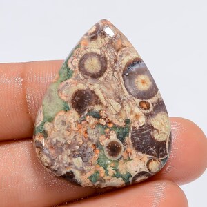 Natürliche Krokodil Jaspis Edelstein Birnenform Cabochon Edelstein 34 Ct. 32X26X4mm (Stein wie Abbildung)
