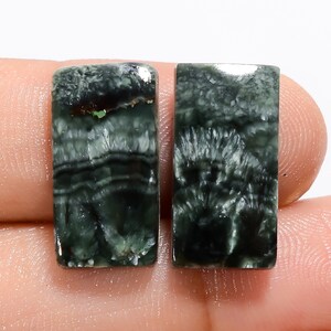 Paire de séraphinite naturelle cabochon séraphinite verte paire assortie de pierres précieuses 18 x 9 x 3 mm 14 carats forme rayonnante séraphinite faisant des boucles d'oreilles