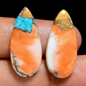 Paire de pierres précieuses naturelles cabochon en forme de poire turquoise huître pour la fabrication de boucles d'oreilles poids 19 carats taille 24X10X3mm